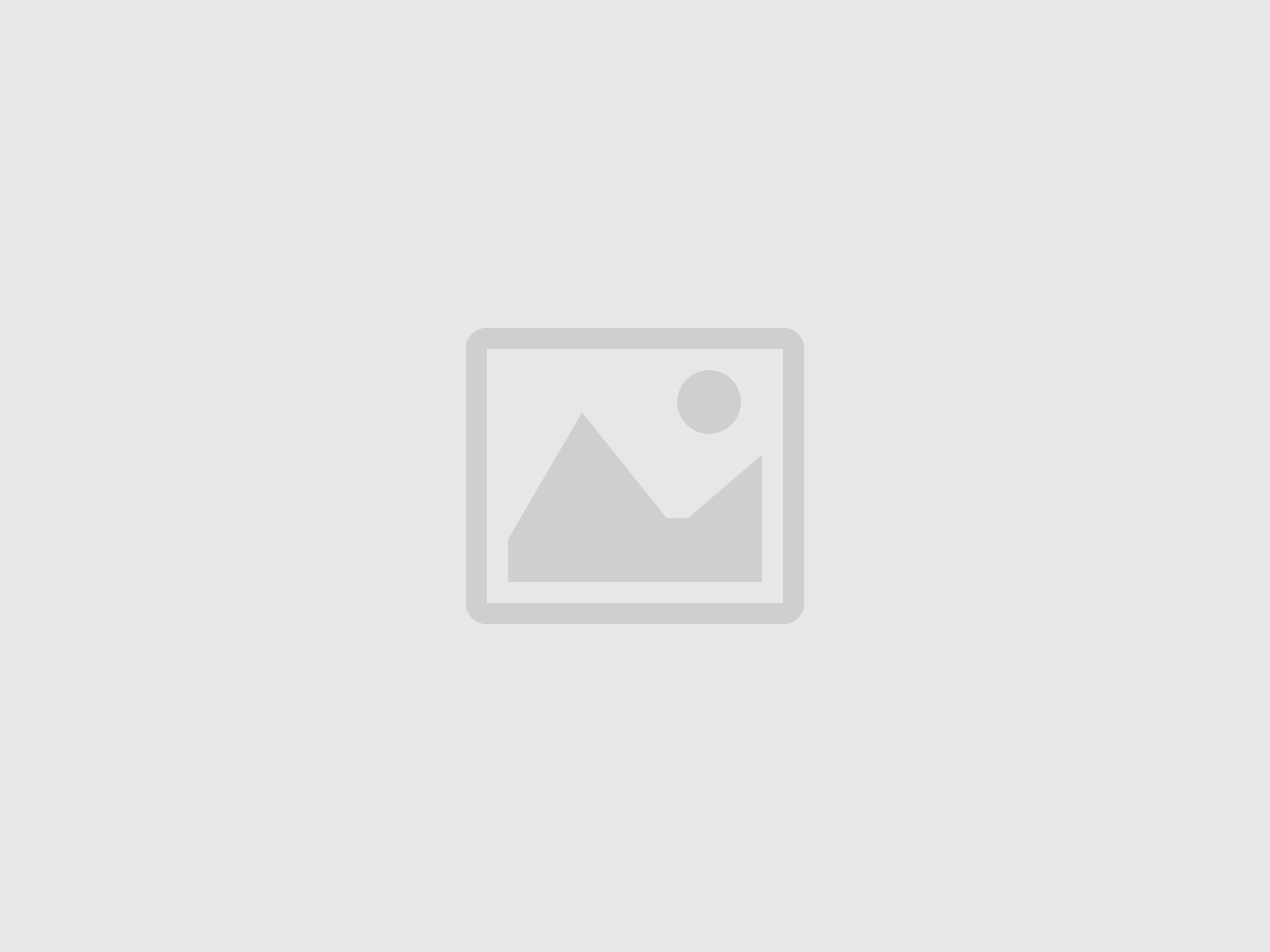 19&prime; Electric Scissor with Stabilisers